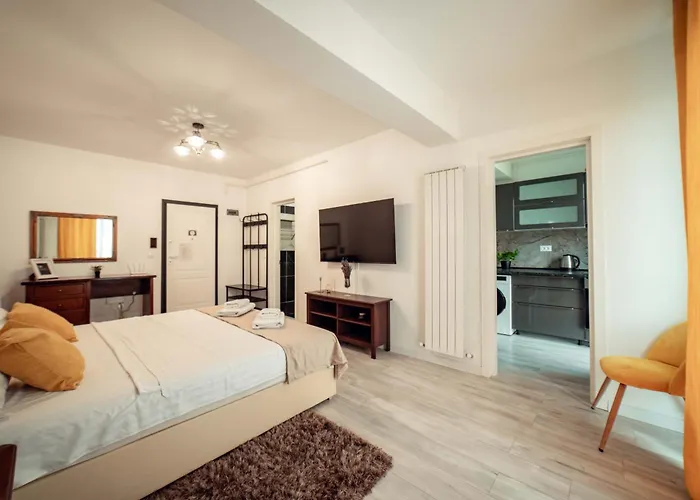 Luxury Cozy Studios Pallas Mall Iasi