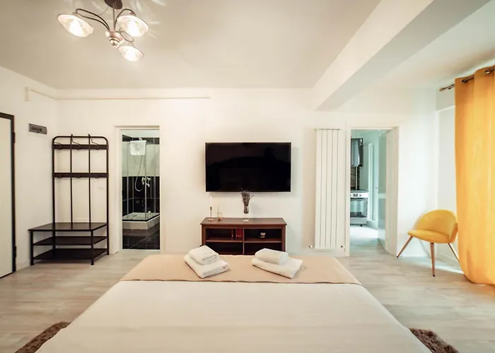 Luxury Cozy Studios Pallas Mall Iasi